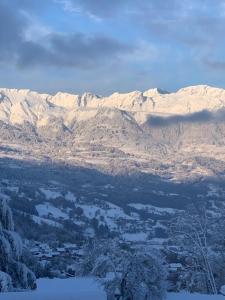 Chalets Chalet le jardin de fees : photos des chambres