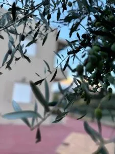 Kamari House Crete - Perama