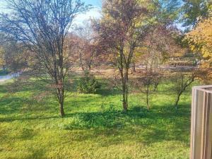 Apartament HOME Wieluńska