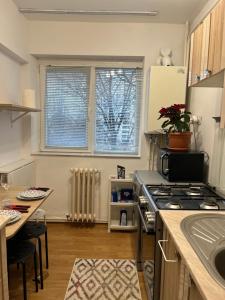 Central Palace View Apartment