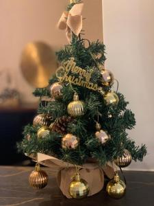 Hotels Hotel Breizh Du Golfe : photos des chambres