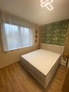 Waikiki Apartman House with Jacuzzi