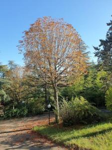 Appartamento con 2 Camere da Letto e Vista Giardino