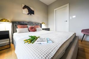Apartamenty Iława - Marina