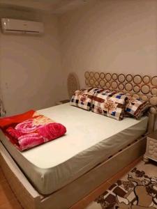 الاسكندريه