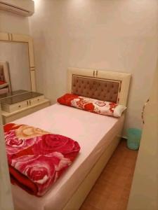 الاسكندريه