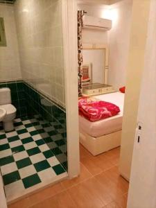 الاسكندريه