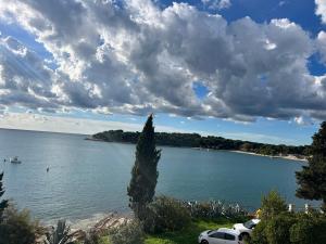 Apartment with a sea view