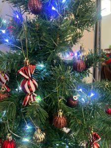 VICOLO CORTO Centro Storico Holiday & Home-Office