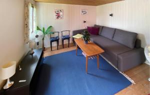 Amazing Home In Vittsjö With Wifi