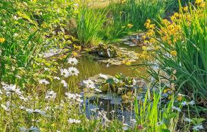 Ferienwohnung Klocksin