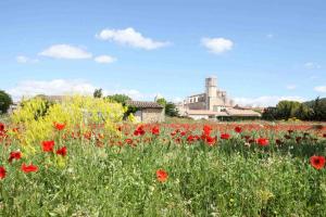 Maisons de vacances Appartement independant : Maison 1 Chambre