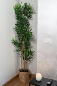 Prince Apartment Trastevere