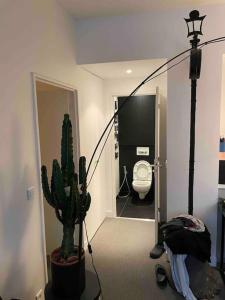 Paris 16e arrondissement superbe 45 m2 plein sud