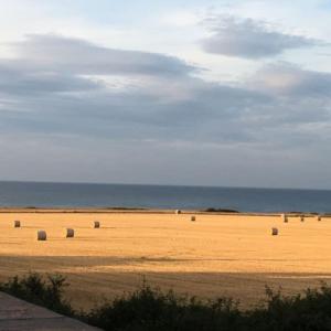 Satara Cottage, coastal village Weybourne, near Holt