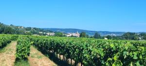 Léden des Baronnies studio