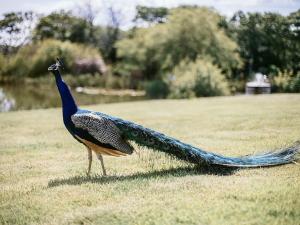 The Old Coach House at Hendra Barns