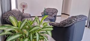 Villa Cinnamon Homestay