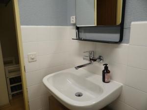 Apartment Neuschwändi 63 by Interhome