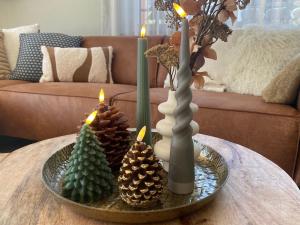 Apartment Alpenrose by Interhome