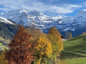 Apartment Untere Bühlstrasse 10 - EG by Interhome