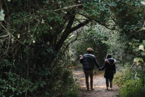 Moonshine on Whiskey Creek