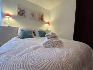 Appartement spacieux dans maison bourgeoise avec grande terrasse et jardin privatif ombragé, à 10 min à pied du centre-ville