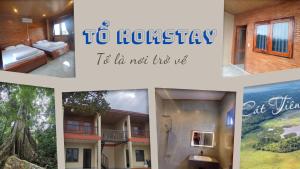 Tổ Homestay