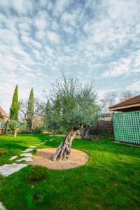Maisons de vacances Santolina Etrusca Bed and Breakfast, Sauna, Hammam, Jacuzzi : photos des chambres