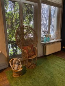 Spacious duplex with terrace in the middle of the center