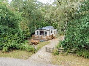 Stonechat - Norfolk Cottage Agency