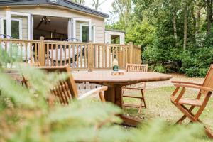 Stonechat - Norfolk Cottage Agency