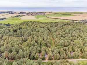 Stonechat - Norfolk Cottage Agency