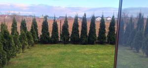 MB Apartments z Basenem i Ogrodem