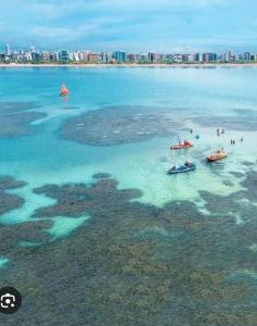 excelente Apto na ponta verde