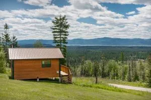 Quiet, relaxing cabin, views galore, pet friendly - Creston