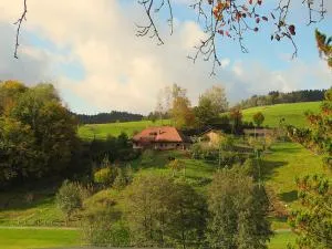 Hernis-Höfle - Bachere