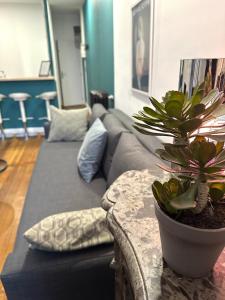 Appartement cosy et lumineux centre-ville #4