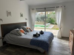 Maisons de vacances Le Mazet Des Joncs en Provence : photos des chambres