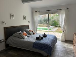 Maisons de vacances Le Mazet Des Joncs en Provence : photos des chambres