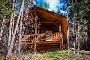 Parson Cabins #5 - Chancellor - Parson