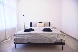 Airy & Bright Flat in Dejvice by Prague Castle