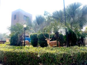 ZenRoofs- Brij Bhumi Haven