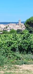 Appartements L-eden des Baronnies : photos des chambres