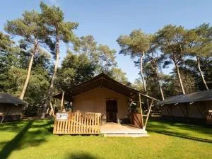 Safaritent 4 - Netersel