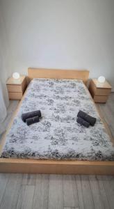 Dream Apartments Stanza 1 in appartamento condiviso con bagno privato esterno
