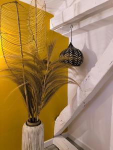 Maisons d'hotes Clementenia : photos des chambres