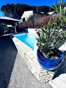 Mas provençal avec piscine - Coin de Paradis - 阿尔让河畔皮热