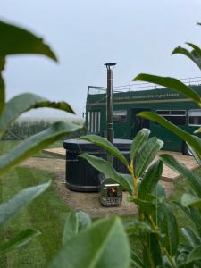 Bed&Bus met dakterras