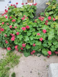 Departamentos Caracol